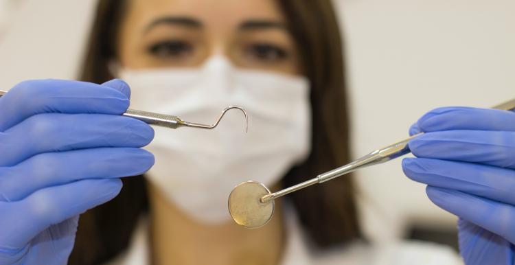 dentist holding an instrument dentist holding an instrument
